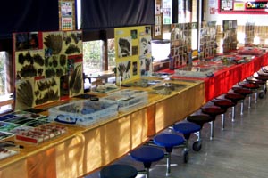display