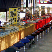display